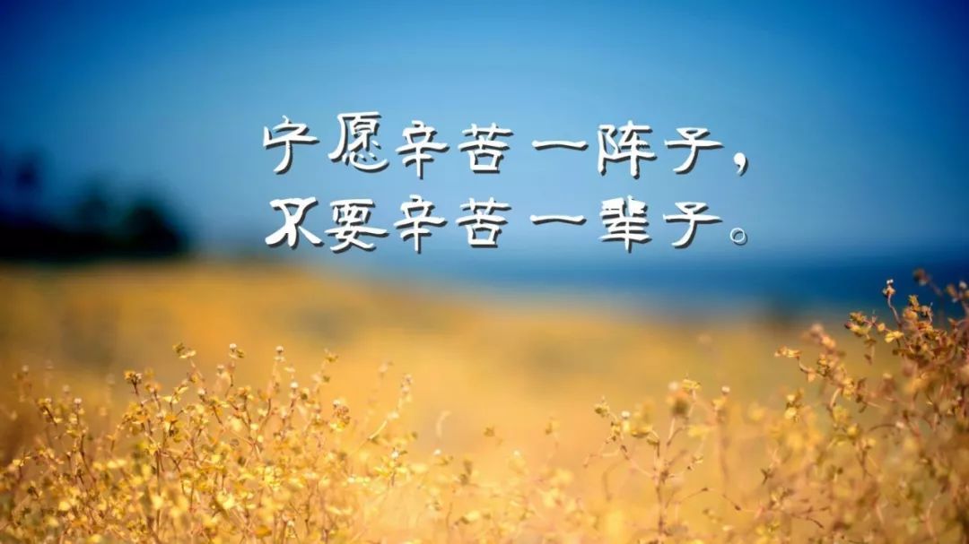 {賭波}(形容正能量的经典语句)